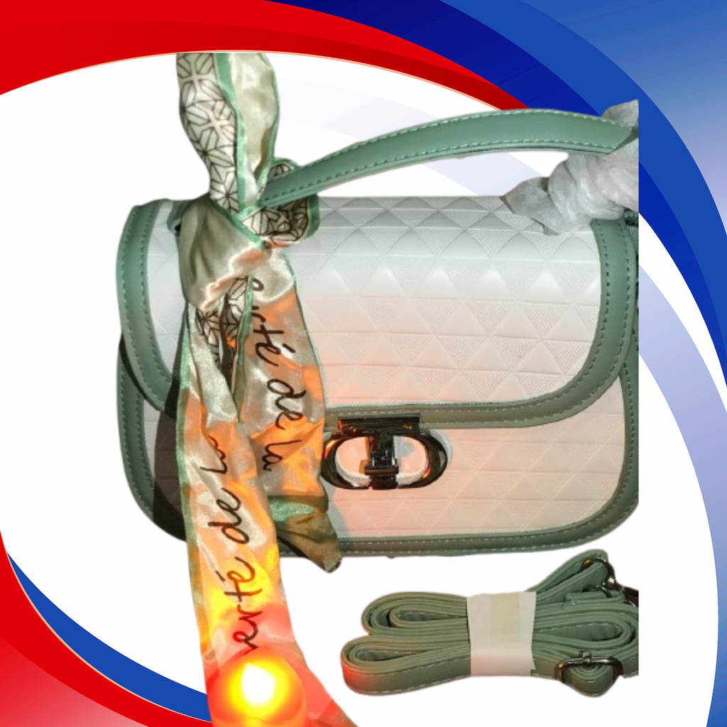 Christian Dior Inspired Stylish Bag for Women